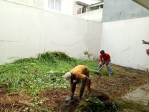 IMG20171115093225