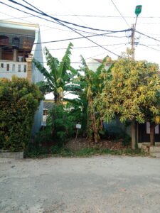 oppo_0